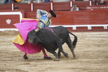 Page felicita el Día de la Tauromaquia