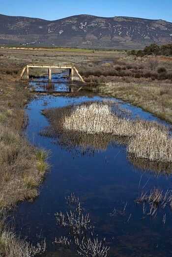 El Gasset gana la mitad del agua que consume en un año