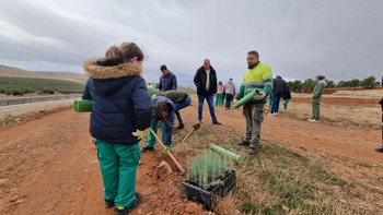 Alumnos de educación especial plantan 130 pinos en San Blas