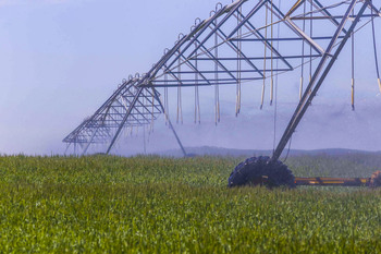 La CHG también plantea un 15% menos de riego en la Masa I