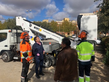 Los trabajos de poda se prolongarán hasta marzo