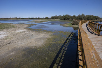 El agua subterránea baja 2,5 metros en los Ojos del Guadiana