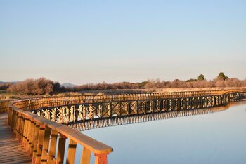 Publicado el decreto de la Reserva de la Mancha Húmeda