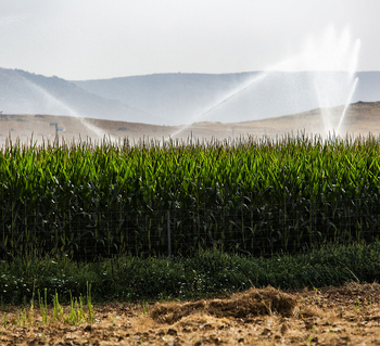 1,5 millones para digitalizar el uso del agua para regar