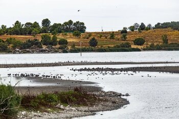 Libera apadrina proyecto en el refugio de fauna en El Vicario