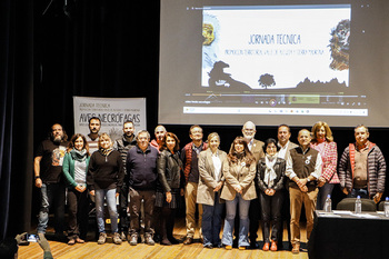 Almodóvar, epicentro nacional de las aves necrófagas