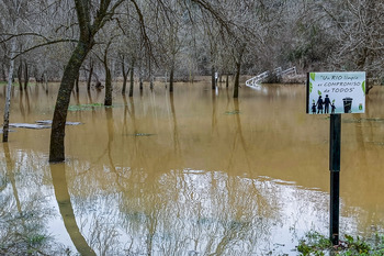 Anuncian actuaciones contra varias macrogranjas de cerdos