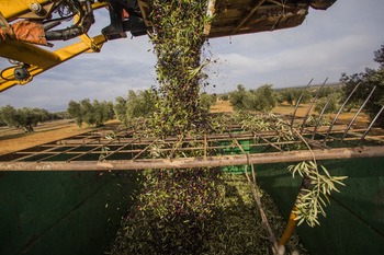 CLM es la región con mayor valor añadido bruto del sector agro