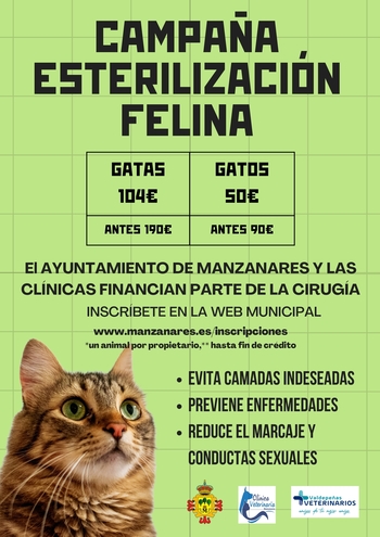 Manzanares pone en marcha una campaña de esterilización felina