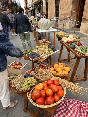 Malagón: Los agricultores exponen lo mejor de sus huertas