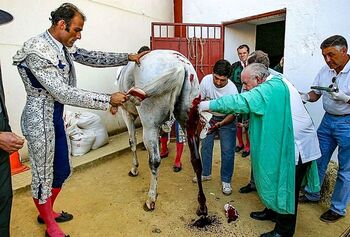 Los sanadores de caballos