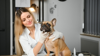 La exhibición canina evaluará la salud respiratoria