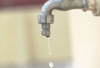 Grupos ecologistas piden medidas para evitar pérdidas de agua