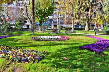 13.000 plantas dan colorido primaveral a las fiestas navideñas