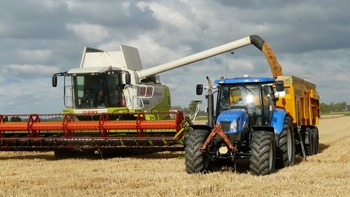 Los sindicatos valoran la caída del desempleo agrícola