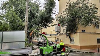 Los restos del huracán dejan ramas caídas y vientos de 65 km/h