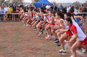 Victorias repartidas en el Provincial Escolar de Cross