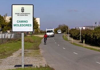 El Consistorio plantará árboles en nueve kilómetros de caminos