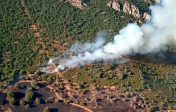 El fuego arrasa 30 hectáreas en nueve siniestros en junio