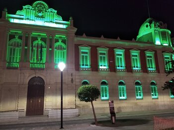 Diputación y Ayuntamiento se 'visten' de verde por la atritris