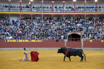 El pliego de la plaza de toros no tendrá dotación económica