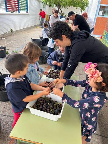 El CEIP Félix Grande hace su propia vendimia