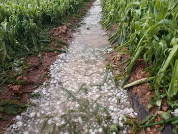 Ciudad Real, en aviso por lluvias, tormentas y granizo