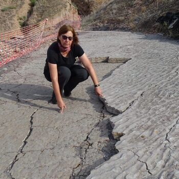 La Pompeya paleobotánica abre el ciclo sobre el carbonífero