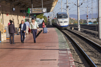 El Pleno pide al Gobierno que mantenga la conexión con Granada