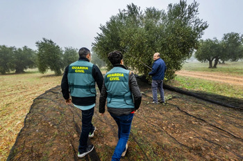 La Guardia Civil activa su plan para evitar robos en el olivar