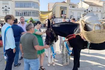 El XVIII Mercado Tradicional llena de vida la Plaza de España