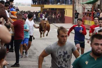 Herido por asta de toro en los encierros de Almodóvar