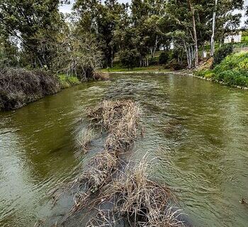 La CHG estudia crear dos nuevas zonas con riesgo de inundación