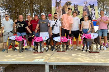 Más de 130 galgos en una competición en Argamasilla