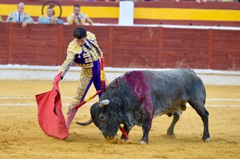 Gran corrida de Adolfo Martín