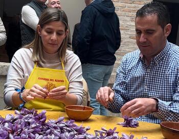 El PP presentará una iniciativa para proteger el azafrán