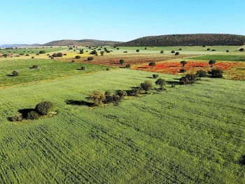 Denuncian obras sin autorización del proyecto de tierras raras