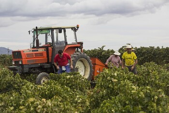 Cooperativas prevé una cosecha de 23 millones de hectolitros