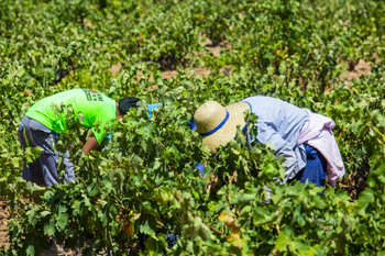 Septiembre deja 300 parados más y un récord de afiliación