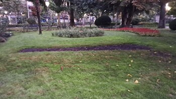 Roban las flores de los parterres del Paseo de San Gregorio