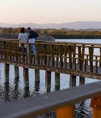 Los pozos llenan Las Tablas de «explosión de vida»