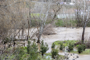 CLM registra 74 incidencias desde el sábado por las lluvias