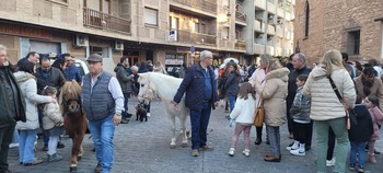 Daimiel se une en torno a la celebración de San Antón